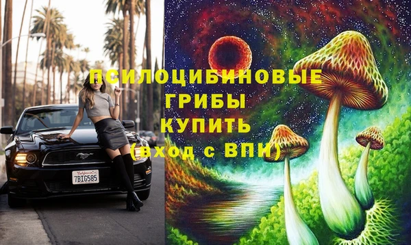 винт Бронницы